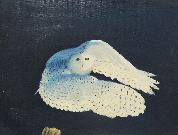 当代具有潜力的艺术家 精品油画