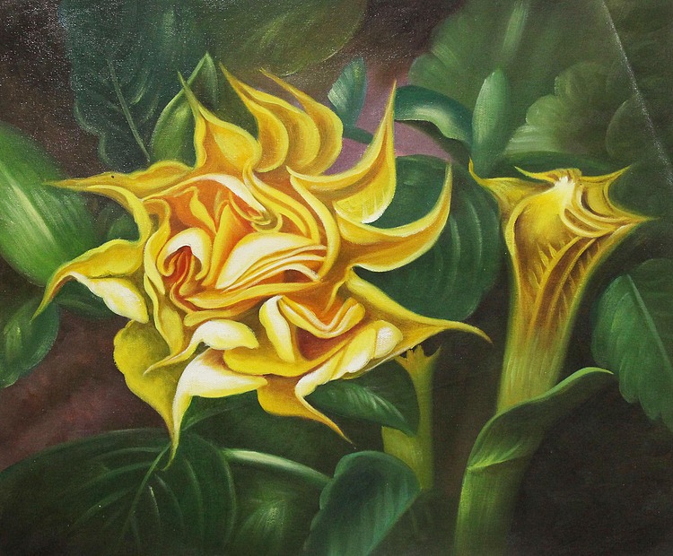 当代具有潜力的艺术家 精品油画