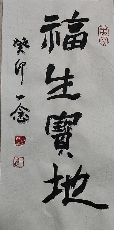 职业书画家 一念 书法小品
