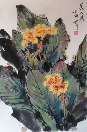 高红凯 美人蕉