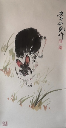 高红凯 兔