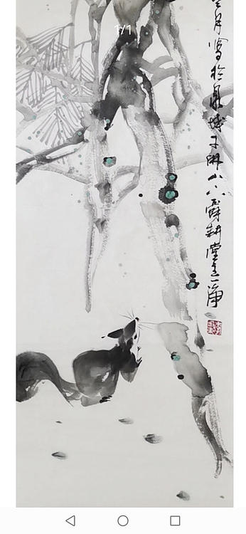 一淨 绕松鼠宝