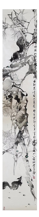 一淨 绕松鼠宝