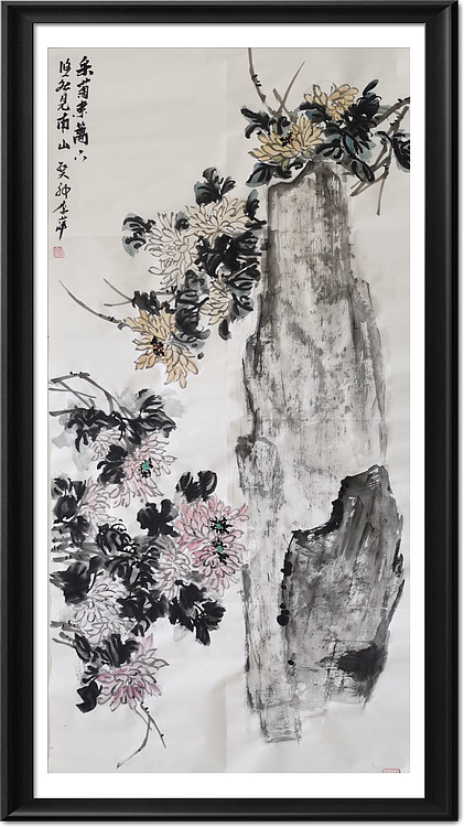兰花 菊