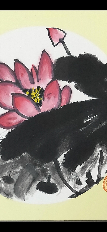 青年书画家 泰然自若 晓凤