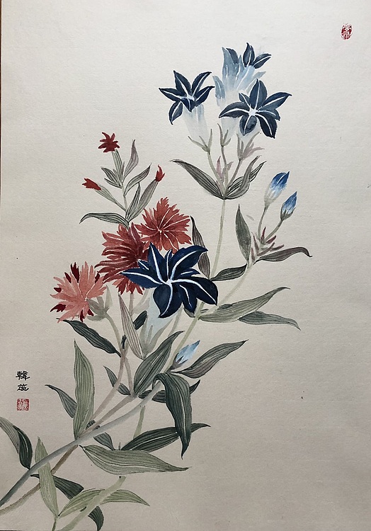 雪中寒蕊 没骨花卉