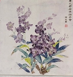 雪中寒蕊 石角斛兰组图