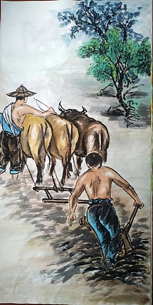 高兴 芒种