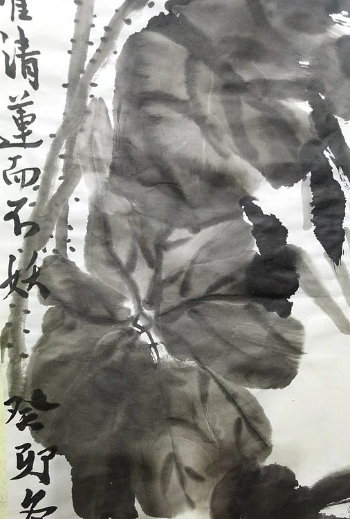 予独爱莲出淤泥而不染