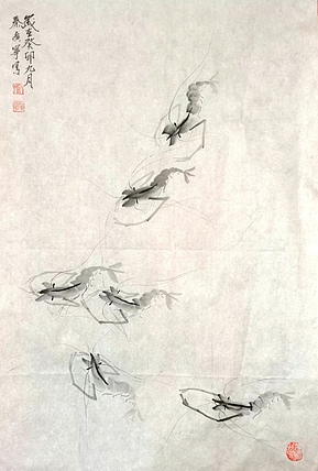 秦广宁 水墨虾