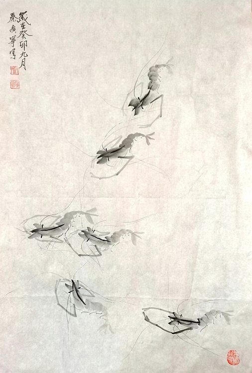 秦广宁 水墨虾