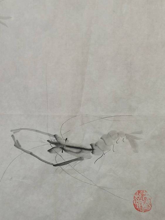 秦广宁 水墨虾