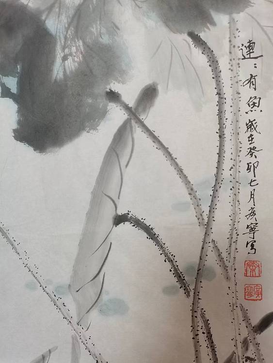 秦广宁 连连有鱼