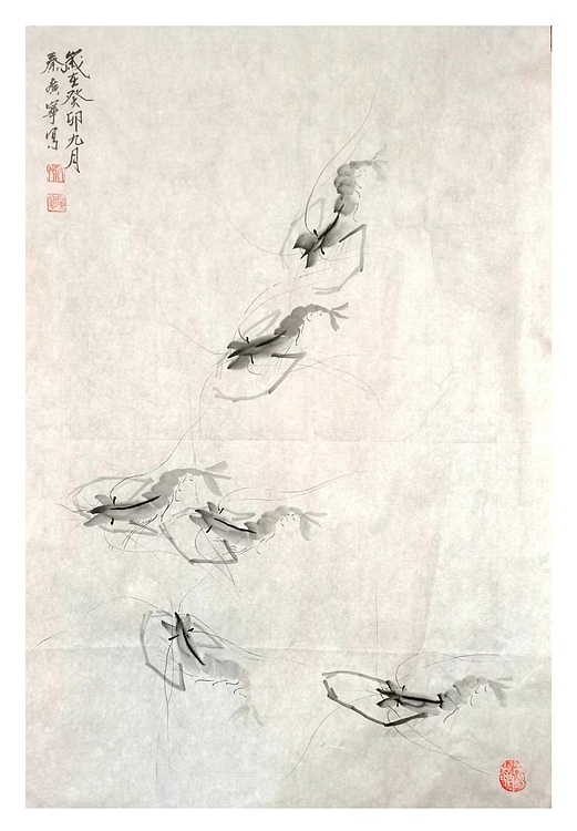 秦广宁 水墨虾