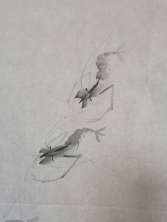 秦广宁 水墨虾