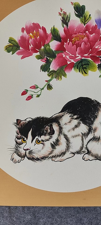 李永海 猫