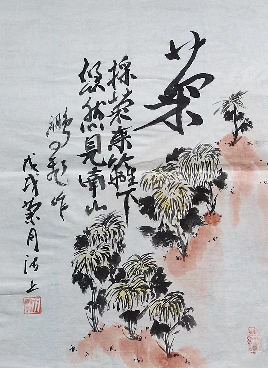职业书画家 羽翔 菊