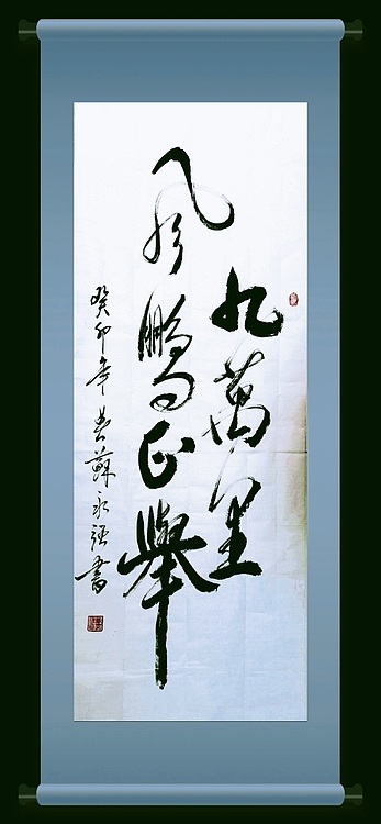 苏永强 九万里风鹏正举