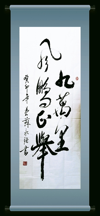 苏永强 九万里风鹏正举