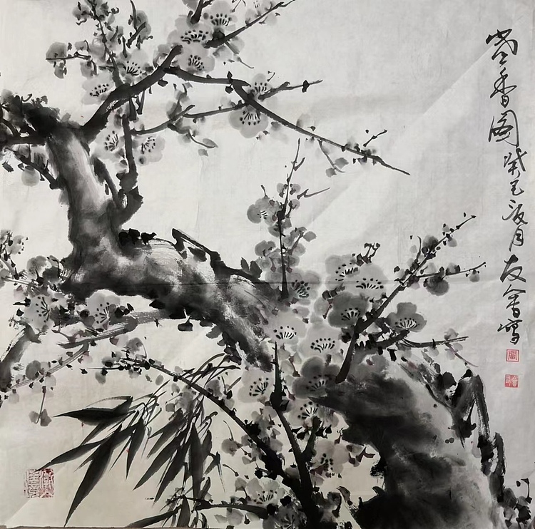 山东省美协会员 闫友会 墨梅