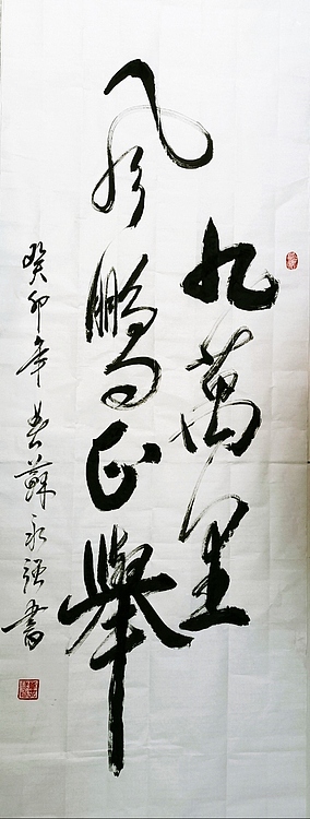苏永强 九万里风鹏正举