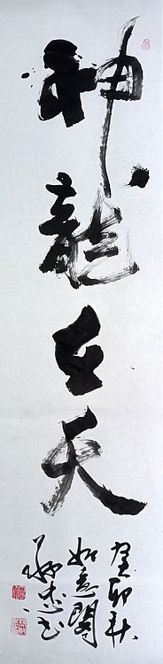 蔡磊子 国家一级美术师蔡敬忠书法精品：《神龙在天》