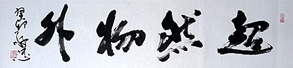 蔡磊子 国家一级美术师蔡敬忠书法精品：《超然物外》