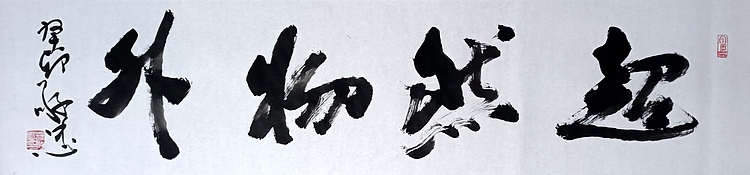 蔡磊子 国家一级美术师蔡敬忠书法精品：《超然物外》