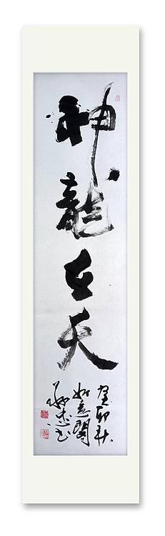 蔡磊子 国家一级美术师蔡敬忠书法精品：《神龙在天》
