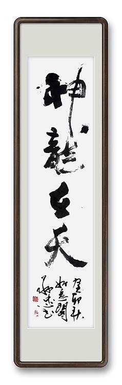 蔡磊子 国家一级美术师蔡敬忠书法精品：《神龙在天》