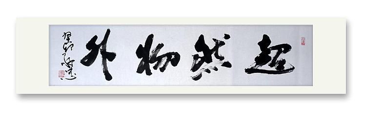 蔡磊子 国家一级美术师蔡敬忠书法精品：《超然物外》