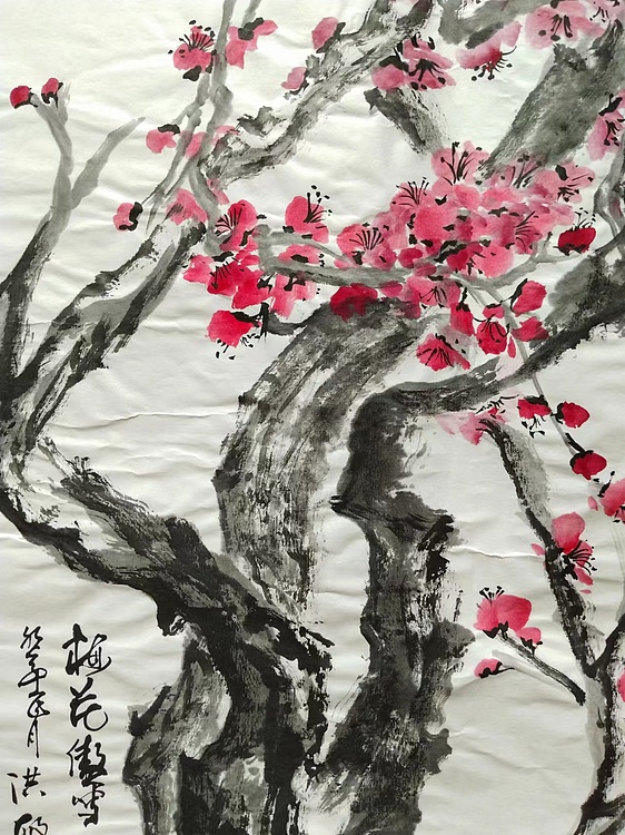 高洪敏 梅花傲雪