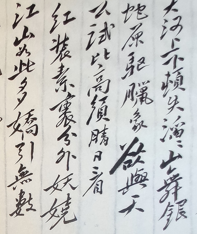 赵云中 沁园春雪