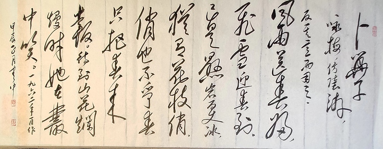 赵云中 卜算子咏梅
