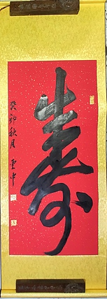 赵云中 寿