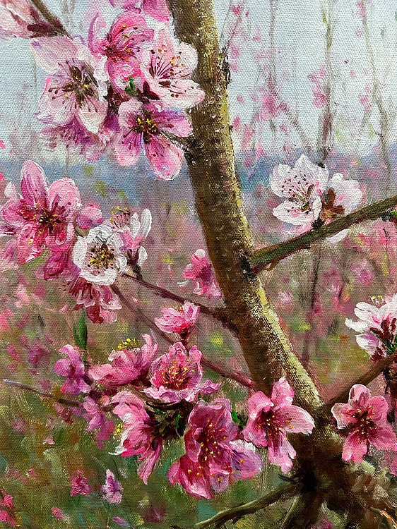梁峰 桃园花盛开