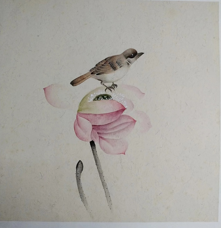 高兴 鸟语花香