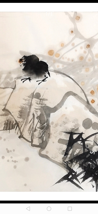 一淨 小憩