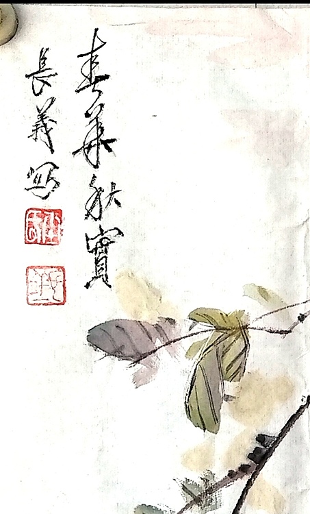 杜长义 春华秋实