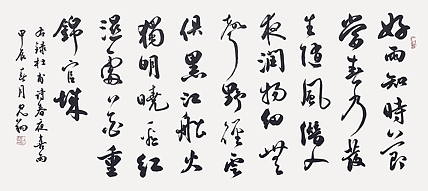 飞翔 杜甫诗春夜喜雨书法作品手写真迹名人字画名家收藏艺术精品定制