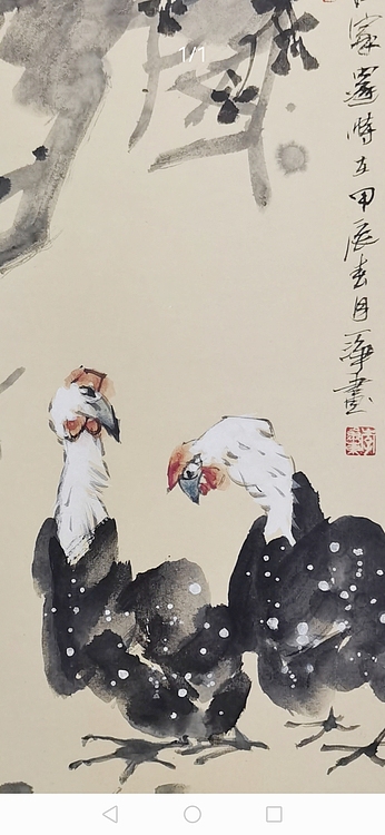 一淨 双双把家还