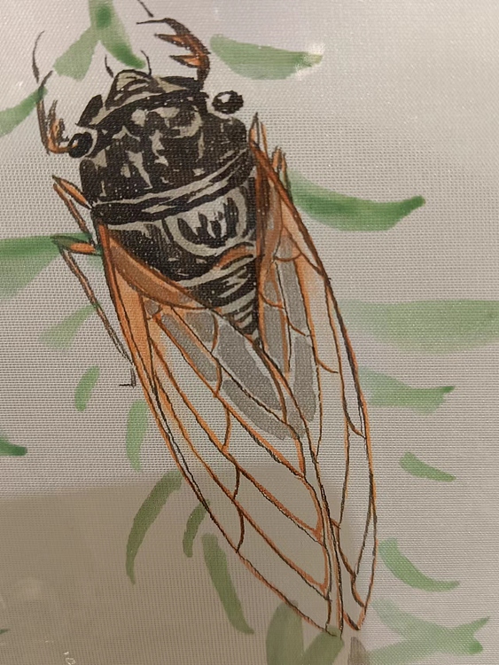 耿学知 手绘团扇