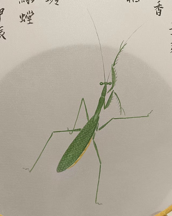 耿学知 《螳螂图》