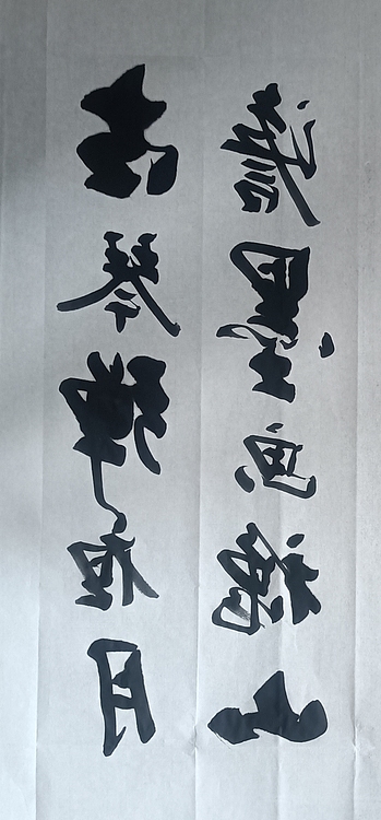 王连生 双手书法