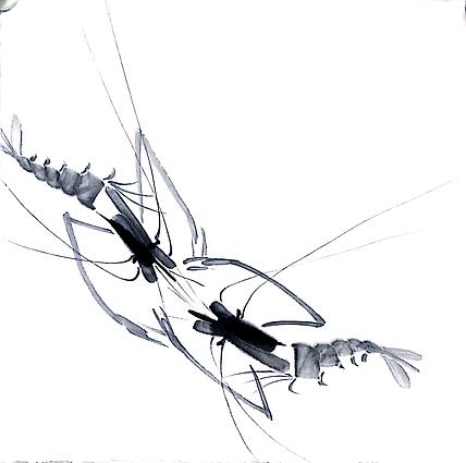 中国老年书画研究会会员 张宝霞 虾