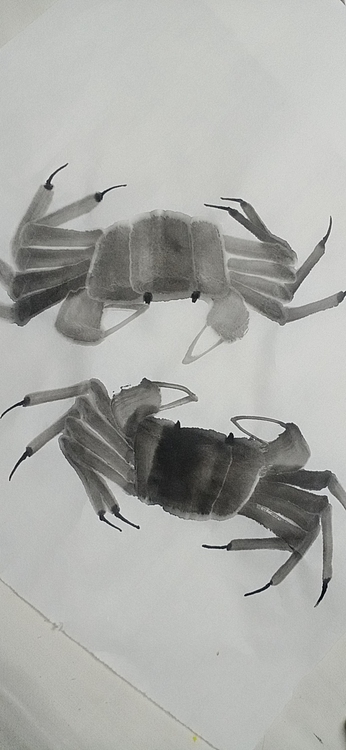 中国老年书画研究会会员 张宝霞 蟹