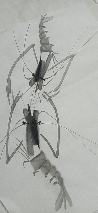 中国老年书画研究会会员 张宝霞 虾