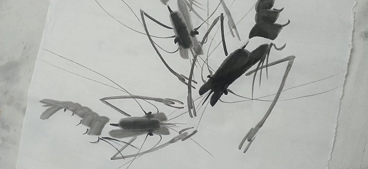 中国老年书画研究会会员 张宝霞 虾