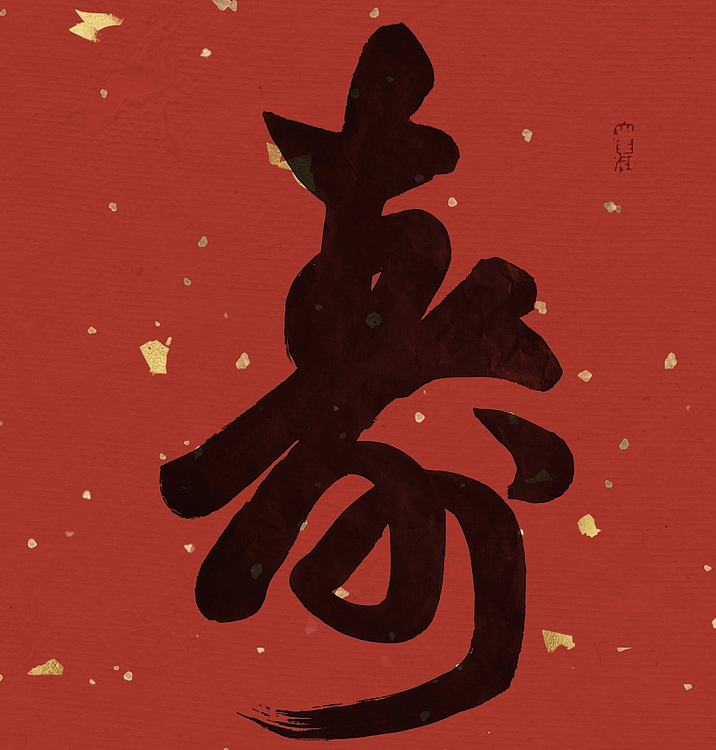 飞翔 寿字书法作品手写真迹名人字画名家收藏定制行书毛笔字挂画竖幅