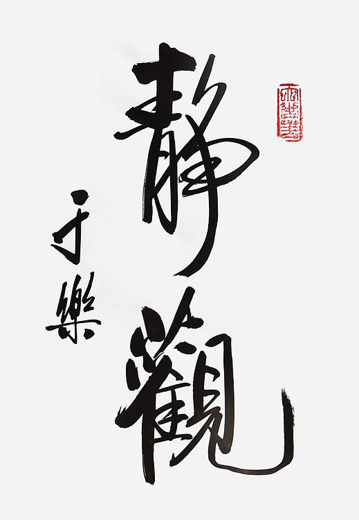 北京书法家协会会员 于乐《静观》书法 29 20